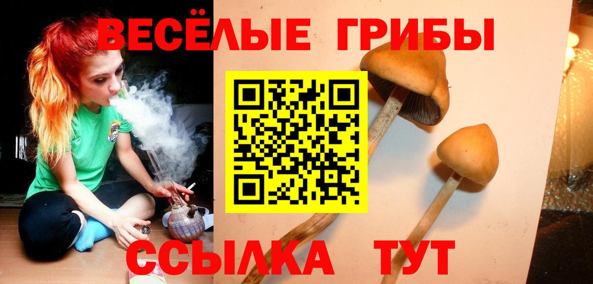 Галлюциногенные грибы Magic Shrooms Алексеевка