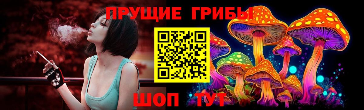 Алексеевка  Галлюциногенные грибы Psilocybine cubensis  Вход с VPN 